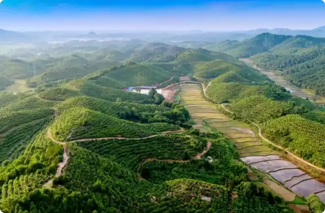 ˹ȫƽͲ̼ĸֵ̬̽ת·