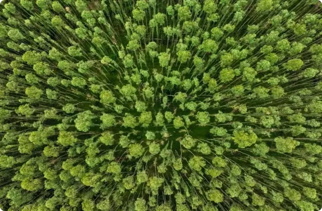 ݴ̼㷽ѧڿհףֳЧ̼·