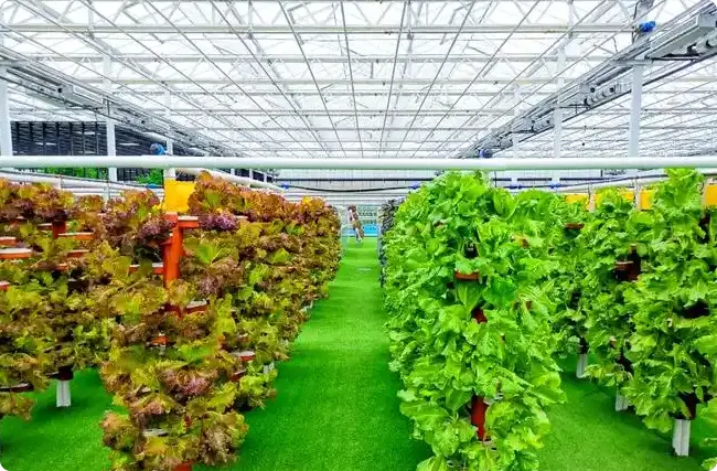 SLBںģ黯̼JustCatchΪŷҵṩͳɱ