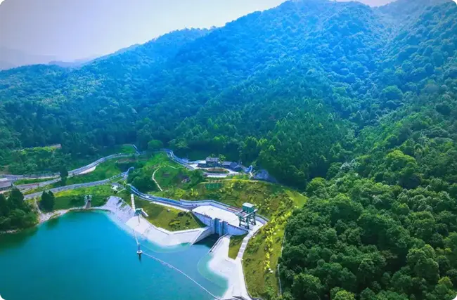  ȫ���׸�ɭ��̼�㼰̼�кͲ�Ʒ��֤����㽭